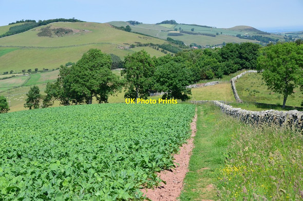 Photo 6"x4" Field edge path, Crookedshaws Hill Morebattle c2013