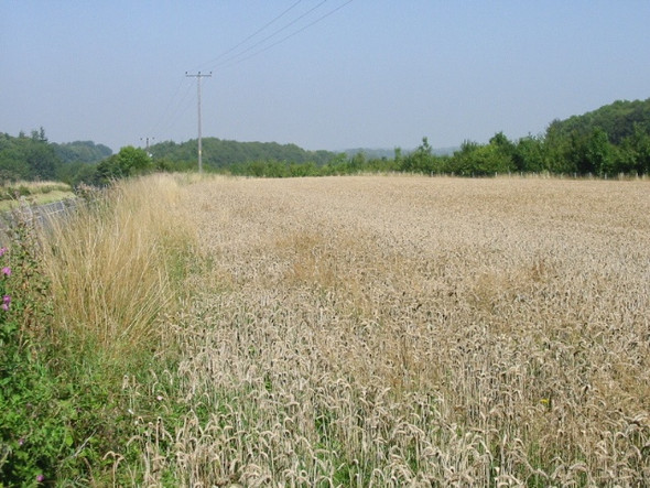 Photo 6"x4" Narrow strip of farmland between the A256 and Sandwich Roads Ashley\/TR3048 c2008