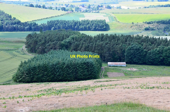 Photo 6"x4" Grubbit Plantation Morebattle c2013