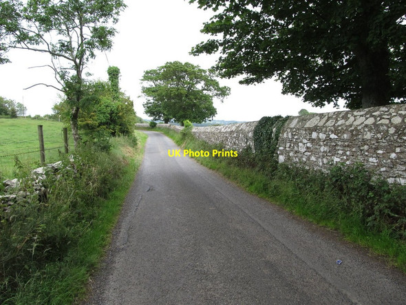 Photo 6"x4" View north-eastwards along Audleystown Road Strangford\/J5849 c2013