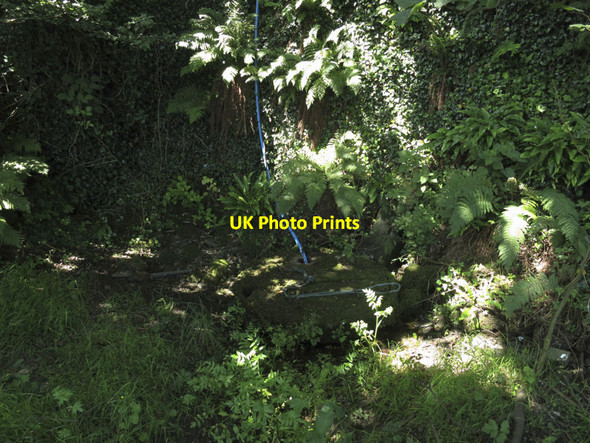 Photo 6"x4" A holy well Cross Barry c2013
