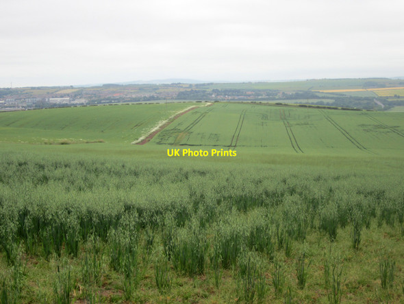 Photo 6"x4" Arable field near Brow of the Hill Berwick-upon-Tweed c2013