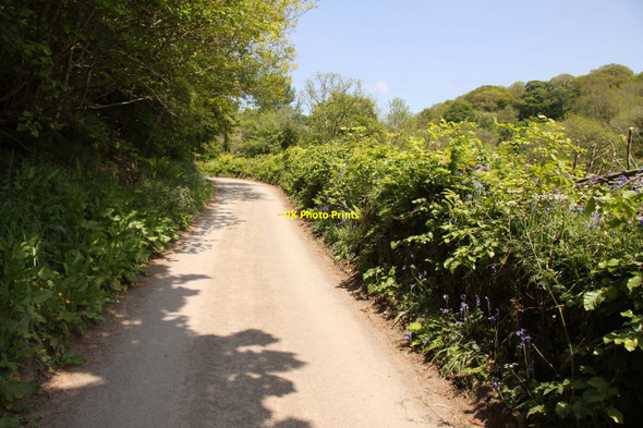 Photo 6"x4" The road to Tarr Steps Hawkridge c2013