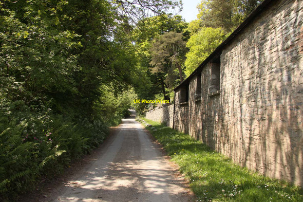 Photo 6"x4" The road to Hawkridge Hawkridge c2013