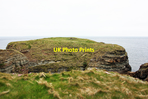 Photo 6"x4" Brough of Deerness Skaill\/HY5806 c2013