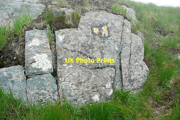 Photo 6"x4" On Sheep's Head Way Glanlough c2013