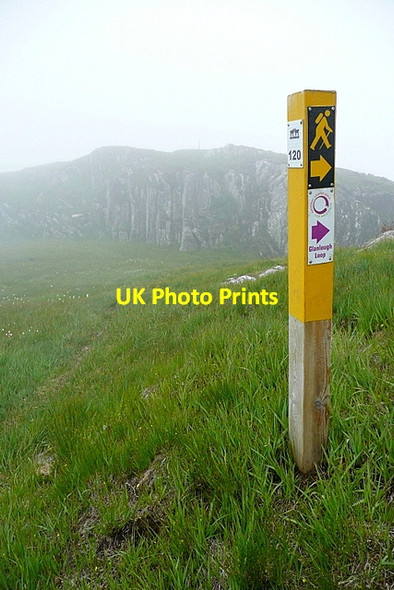 Photo 6"x4" On Sheep's Head Way Glanlough c2013