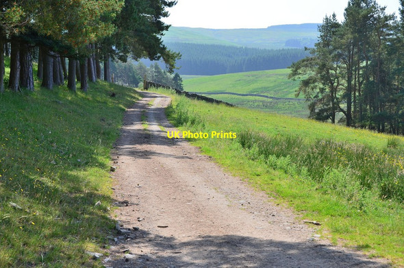 Photo 6"x4" Track above Prison Linns Kirkhope\/NT3823 c2013