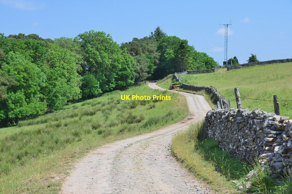 Photo 6"x4" Track to Helmburn Ettrickbridge c2013