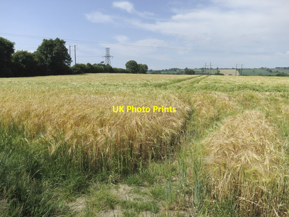 Photo 6"x4" Two sorts of power Bandon\/W4955 c2013