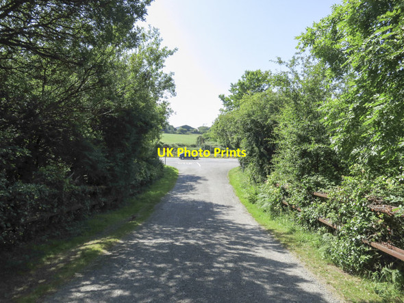 Photo 6"x4" Just off the N71 Ballinascarty c2013