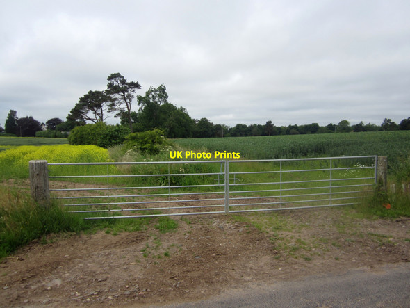 Photo 6"x4" Field gateway east of Edrington House Paxton c2013