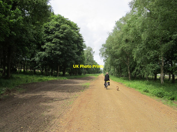 Photo 6"x4" Hereward Way Illington c2013