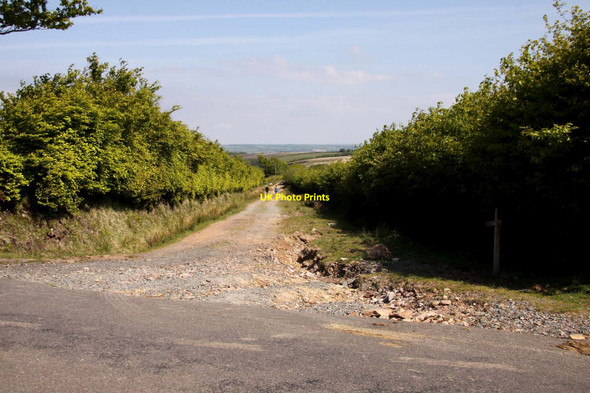 Photo 6"x4" Stone Lane near Exford Exford c2013