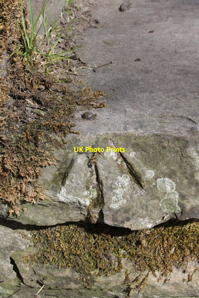 Photo 6"x4" Benchmark on footpath steps from Brunt Acres Road Gayle c2013