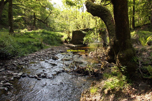 Photo 6"x4" Nutscale Water Doverhay c2013