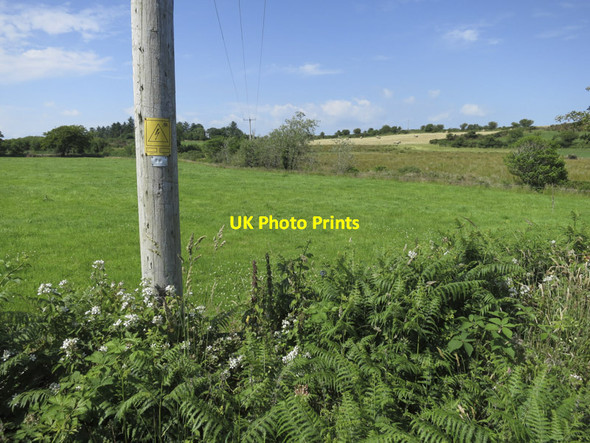Photo 6"x4" Power across the fields Caheragh c2013
