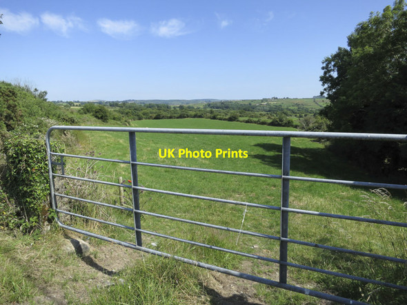 Photo 6"x4" A green Irish field Caheragh c2013