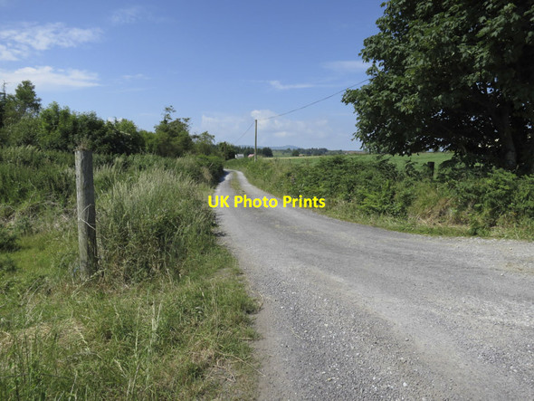 Photo 6"x4" Houses in the distance Caheragh c2013