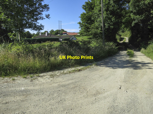 Photo 6"x4" Red roof up the lane Rossmore\/W3146 c2013