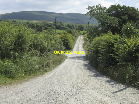 Photo 6"x4" The lane to Coomanore North Kealkill c2013