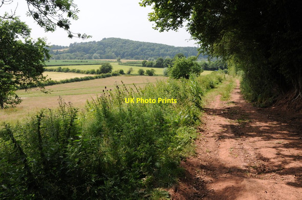 Photo 6"x4" Footpath at Horsham Collins Green\/SO7357 c2013