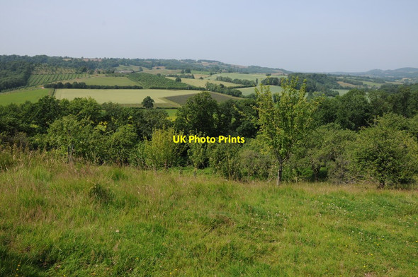 Photo 6"x4" A view into Herefordshire Berrow Green c2013