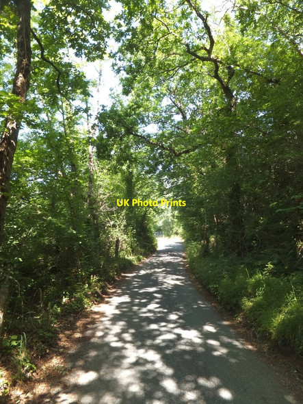 Photo 6"x4" The road to Crocombe Bridge Hennock c2013