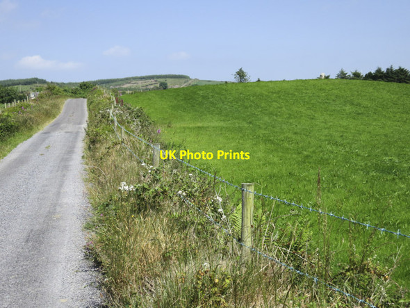 Photo 6"x4" Solitary on the skyline Drimoleague c2013