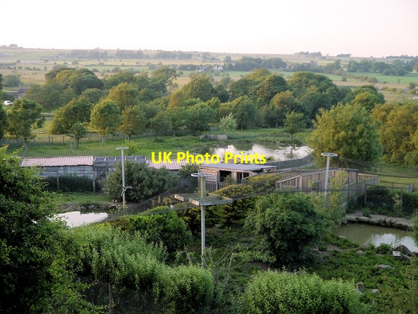 Photo 6"x4" Blackbrook Zoo New Street\/SK0552 c2013