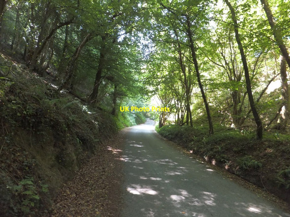 Photo 6"x4" In Higher Crockham Copse (1) Hennock c2013