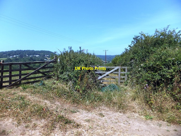 Photo 6"x4" Overgrown field access track near Huish Cross Chudleigh c2013