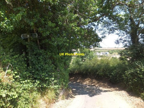 Photo 6"x4" Footpath signs near Frost Farm Hennock c2013