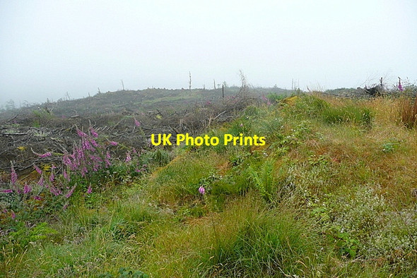 Photo 6"x4" Clear Fell at Ballybane Ballydehob c2013