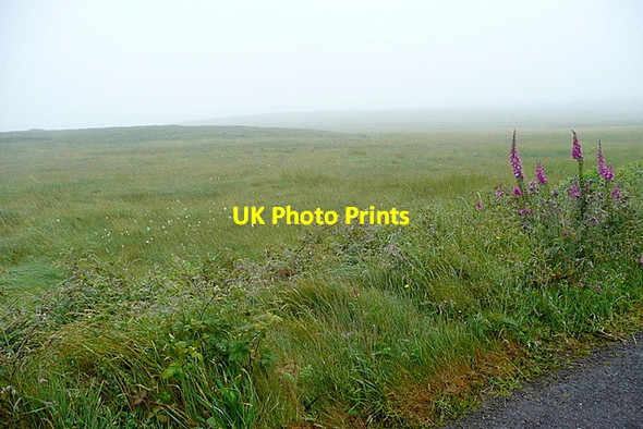 Photo 6"x4" Bog at Ballybane East Ballydehob c2013