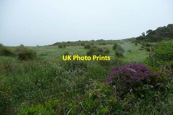Photo 6"x4" Rough pasture rising from the Clodagh River valley Drimoleague c2013