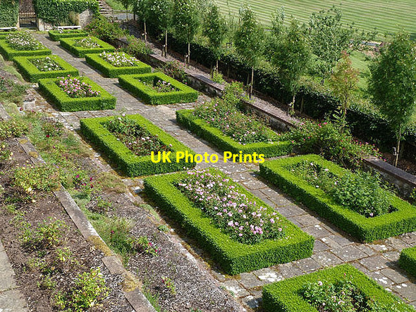 Photo 6"x4" The Rose Garden at Monteviot House Gardens Ancrum c2013