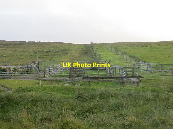 Photo 6"x4" Gathering pens, Garderhouse Leeans\/HU3347 c2013