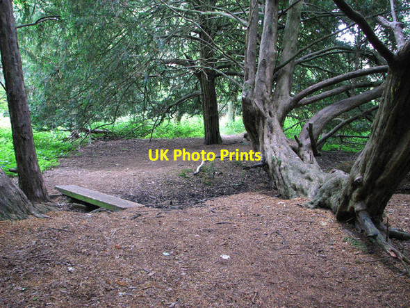 Photo 6"x4" Footpath to the River Nar, Narford West Acre c2013