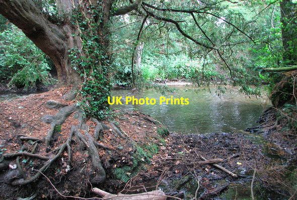Photo 6"x4" The River Nar through Bradmoor Plantation, Narford West Acre c2013