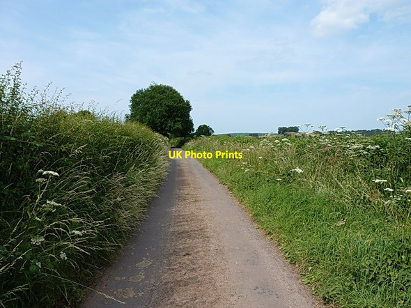 Photo 6"x4" Field Lane out of Kemberton Kemberton c2013
