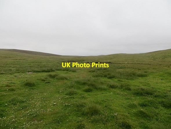 Photo 6"x4" Grassland, Murrion Braehoulland c2013