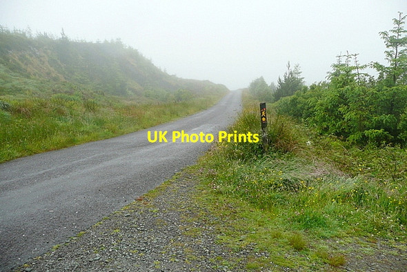 Photo 6"x4" Lane at Barnageehy Durrus c2013