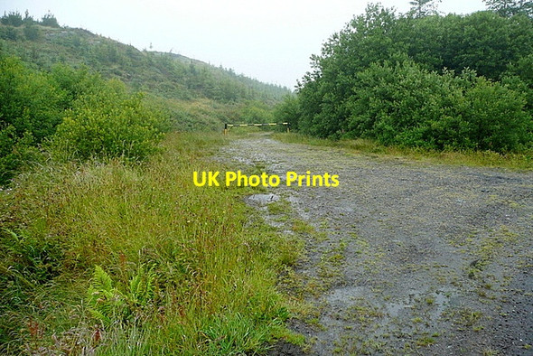Photo 6"x4" Track at Ballybane Dromore\/W0545 c2013
