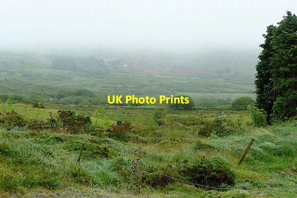 Photo 6"x4" Land at Barryroe Dromore\/W0545 c2013