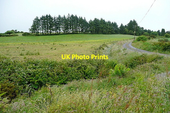 Photo 6"x4" Land at Glanaphuca Dromore\/W0545 c2013