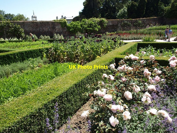 Photo 6"x4" The formal flower garden at the Lost Gardens of Heligan Kestle\/SW9945 c2013