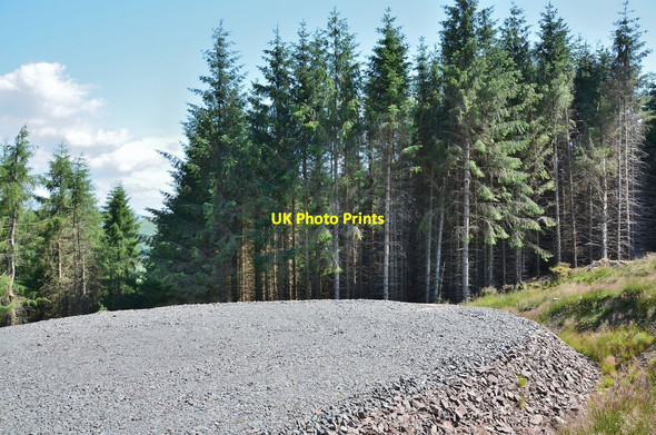 Photo 6"x4" Turning circle, forest road on Gamescleuch Hill Wardlaw\/NT2916 c2013