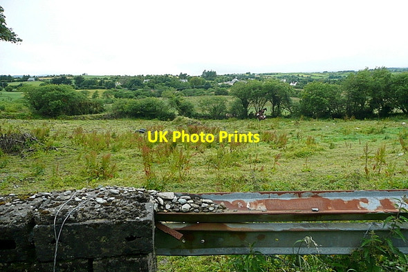 Photo 6"x4" Pasture at Baurnahulla Drimoleague c2013
