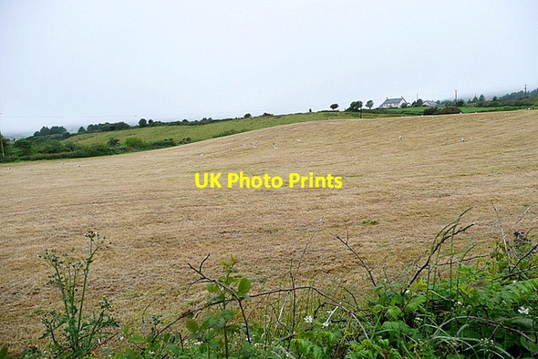 Photo 6"x4" Farmland at Ceancullig Drimoleague c2013